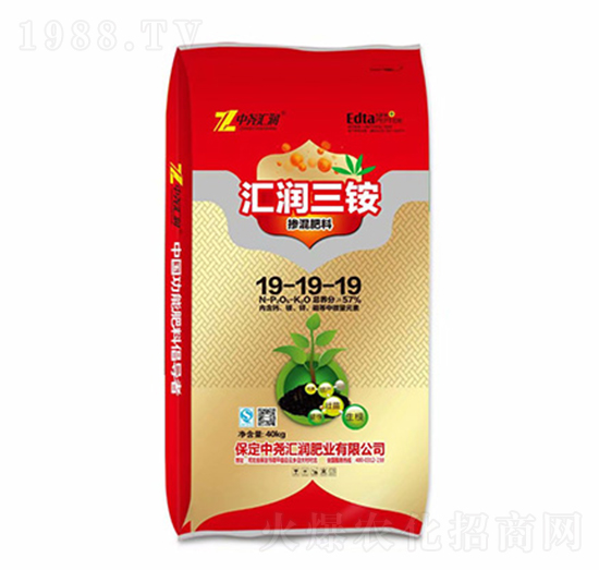 �R��(r��n)���@�������19-19-19-�Ј�R��(r��n)