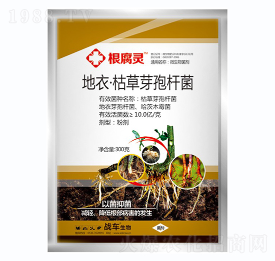 ���¡��ݲ�ѿ�ߗU��-�����`-��(zh��n)܇(ch��)