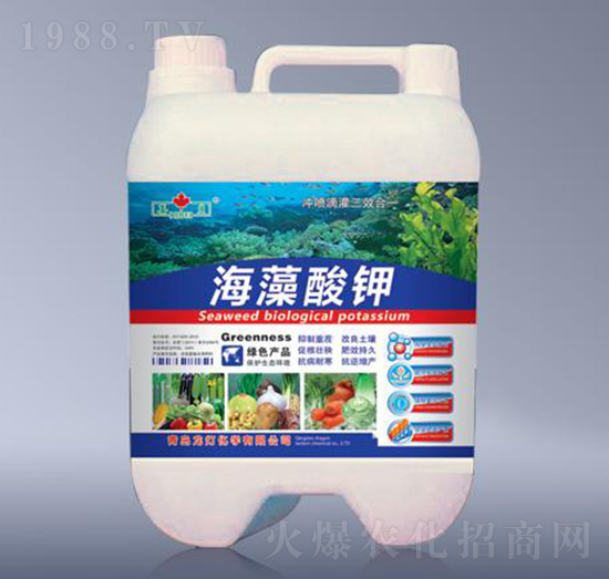 �������-����-����