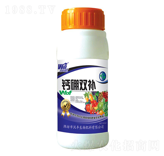 �}���p�a(b��)-���S���r(n��ng)-���S����