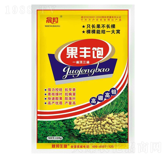 ���S�-�ɰ�����