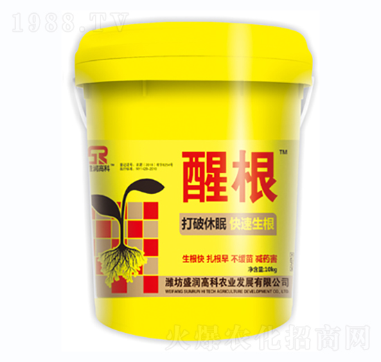 �Ѹ�-ʢ���߿�