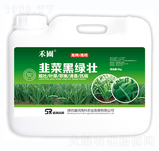 5kg韭菜黑綠壯-禾圃-盛潤(rùn)高科