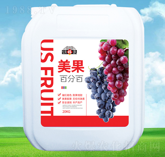 ����-�S���r�I(y��)