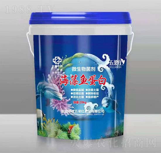 �����~(y��)����-�����t