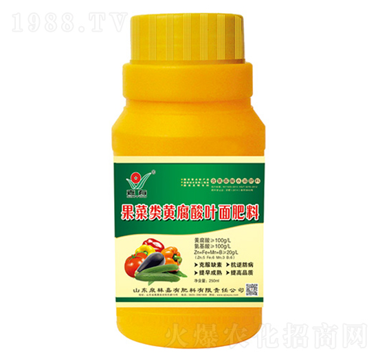 ƿ�b�����(l��i)�S�����~�����-��Ȫ��