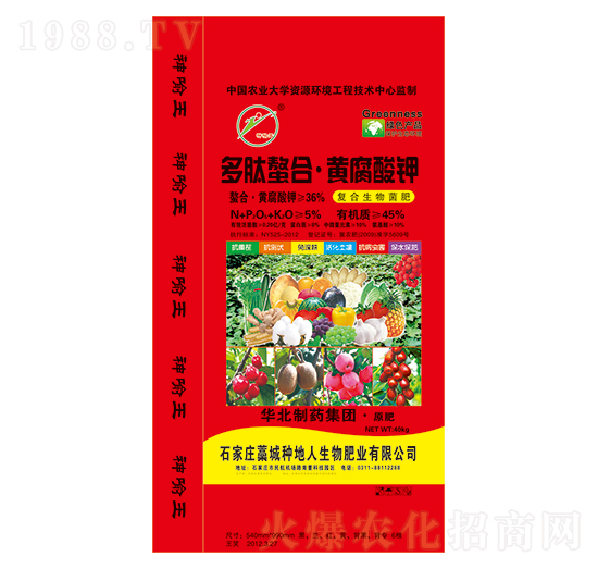 ���������S�����-�N����