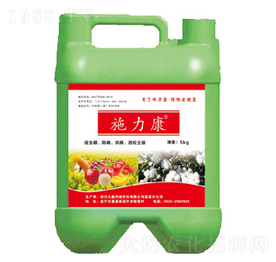 ʩ�����_ʩ��-���ο���