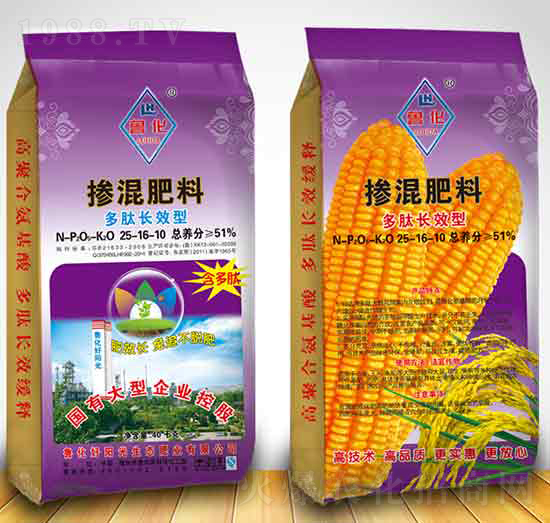 �����LЧ�͓������25-16-10-������ꖹ�