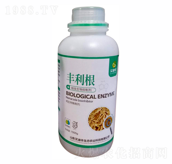 ���x�������Ƅ�-�S����-�����S