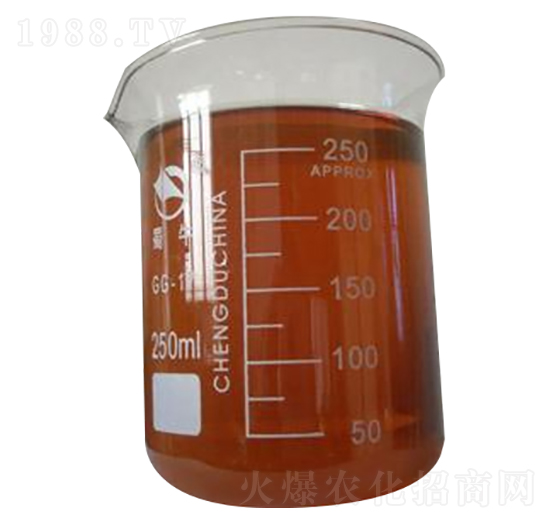 ���춬����-���r�d̩