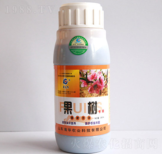 ����-���A�r�I(y��)