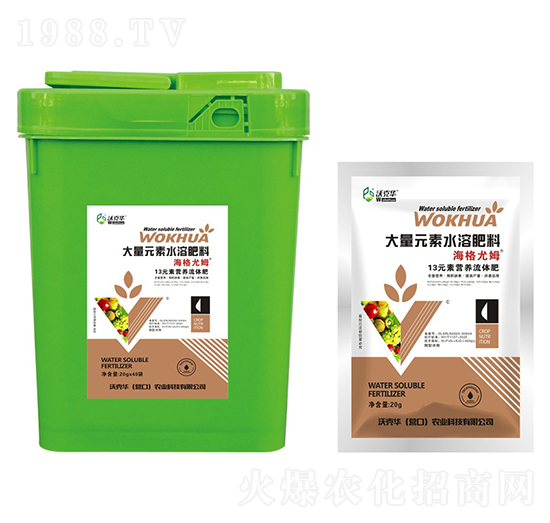 ������ķ13Ԫ�ؠI(y��ng)�B(y��ng)���w��-�ֿ��A