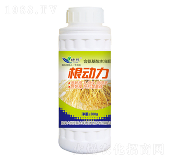 ����(d��ng)��-�G��-��ʿ�R��