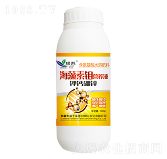 �������f�I(y��ng)�B(y��ng)Һ-�G��-��ʿ�R��