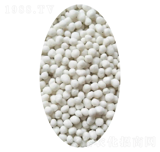 �ͺϷ����w��-�Kʢ�r�Y