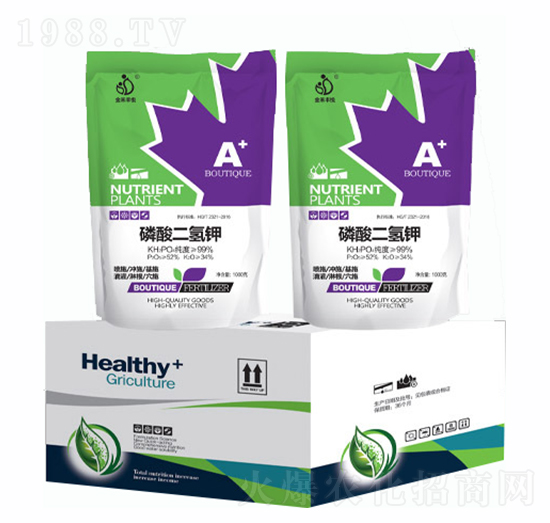 ��������-�Ͳ����