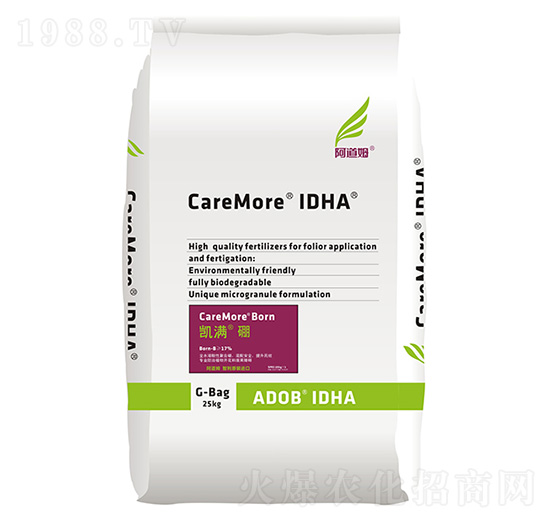 �P�M��-����ķ