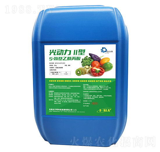 5-������������-�����II��-������