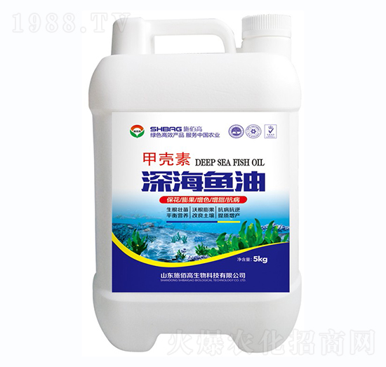 �ך�����~(y��)��-ʩ�۸�