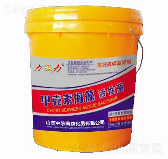 �ך��غ�����Ծ�-���r����