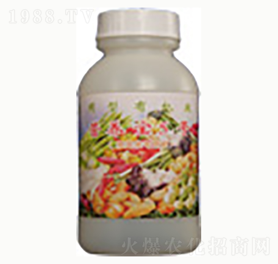 �I(y��ng)�B(y��ng)��5̖(h��o)-�n����