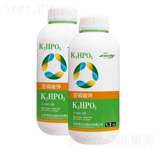 �������-�ؾ�����