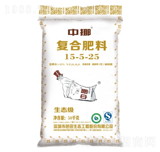 �ͺϷ���15-5-25-��Ų-����