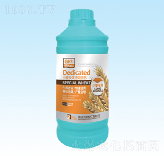 С���LЧҺ��-�|��Ӣ�Z