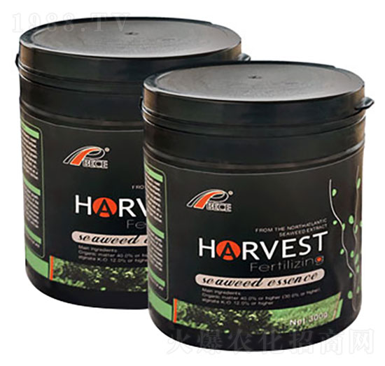 ����ʩ�S��Ȼ�������Ｄ����-��ɪ��