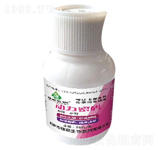 �����ܴa-�ں�����