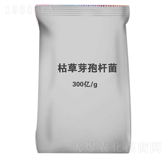 枯草芽孢桿菌-金谷生物