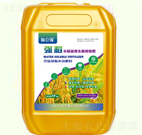 �������������辷�-������S