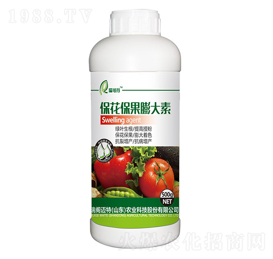 �������������-��ɵ�-���w�~��