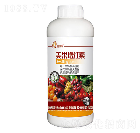 �������t��-��ɵ�-���w�~��