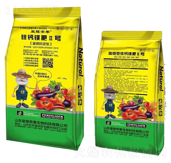 ���}�V��-�ʼڵ۹�