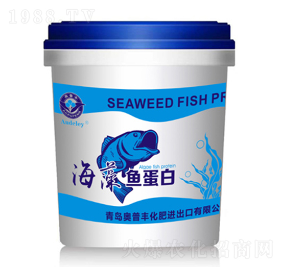 �����~����-�W���S