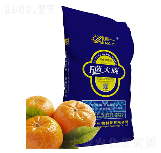 ΢�������-������-�Qһ