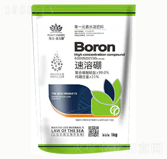 ������-��혻���