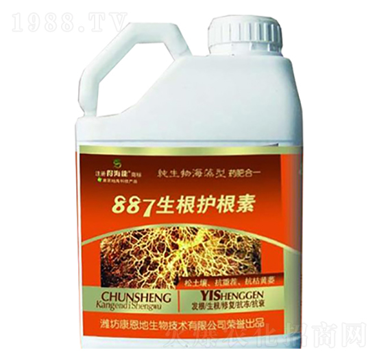 887�����o(h��)����-�ú���-������