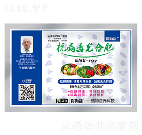 ��������Ϸ�-�ú���-������