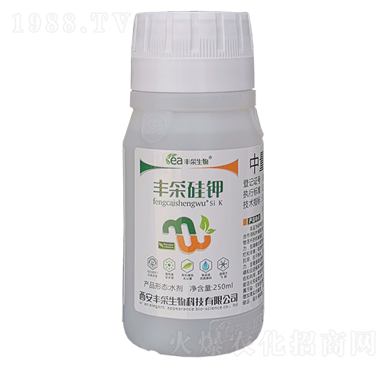 �S�ɹ��-�S������