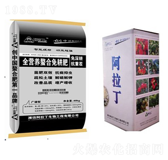 ȫ�I�B(y��ng)���������-������