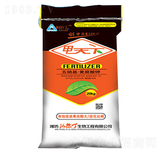 �������S�����-������-������