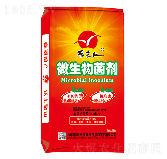 5�|΢�������-���(l��i)�t