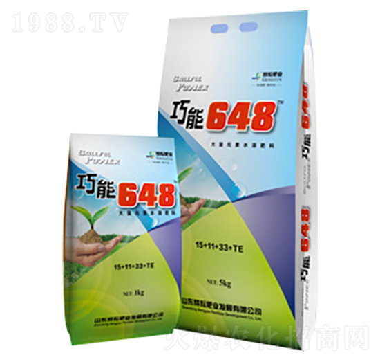 ����I(y��ng)�B(y��ng)�ʹ���Ԫ��ˮ�ܷ�15-11-33+TE-����648-���ŷʘI(y��)