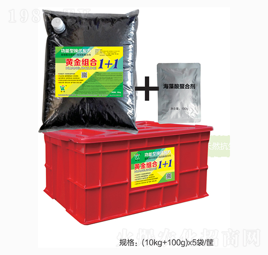 �S��M��1+1-�GӍ