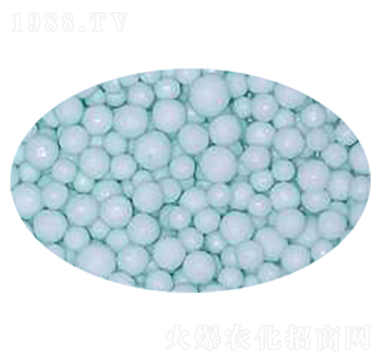 ��������-����(sh��)