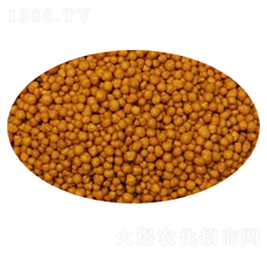 ��������-����