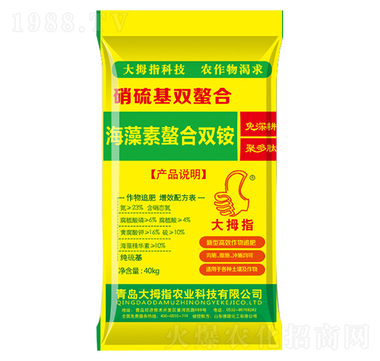 �����������p�@-��Ĵָ